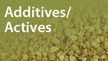 Additives/Actives